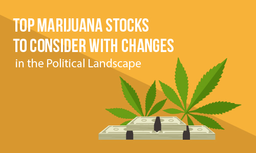 Top Marijuana Stocks to Consider With Changes in the Political Landscape