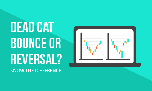 Dead Cat Bounce or Reversal? Know the difference