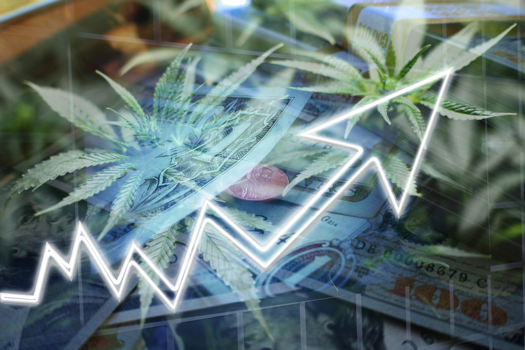 A Guide to Investing in Marijuana Stocks - RagingBull