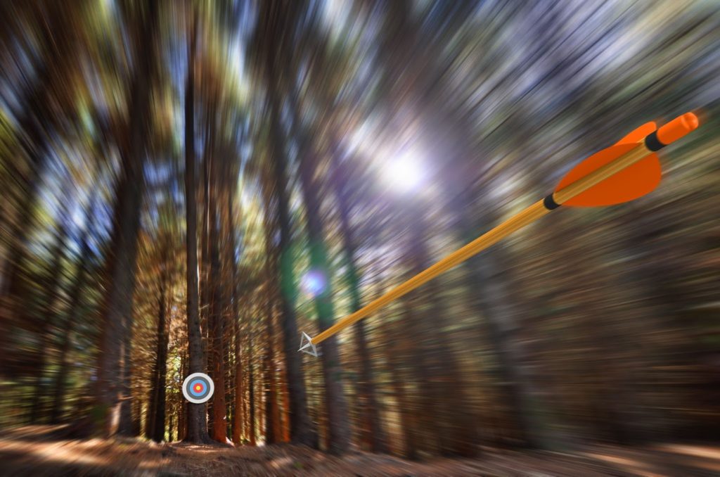 Arrow flying toward a bullseye in a forest