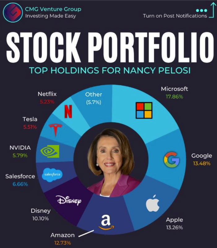 Pelosi Stock portfolio